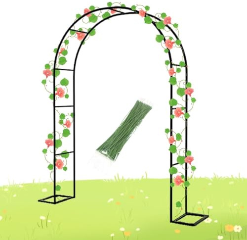 Arche De Jardin en Métal 120cm 140Cm 180Cm 240Cm 300Cm 350Cm Larg Arche De Mariage Arceau À Rosiers Plante Grimpantes, Support De Treillis(80x200cm/31x79in)