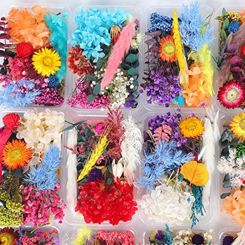 Lulullaby 2 Cajas Flores Secas Naturales, Flores Secas para Manualidades, Velas, Álbumes de Recortes, Tarjetas