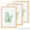 CTDMJ® Paquete de 3 marcos de fotos A4 de madera maciza de roble con plexiglás para mesa y pared, para fotos, pósteres, rompecabezas (23 x 32 cm)