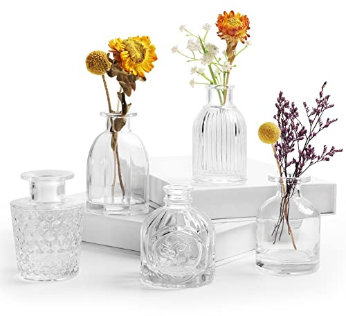 Mini Vasen Klare Kleine Vase Set von 5 EylKoi Bud in Bulk Kleines Glas Weiß Kristallines Material Unterschiedliche Form Moderne Niedlich Verschiedene Vintage für Blumen für Home Table Hochzeit