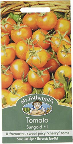 Mr Fothergill's 14700 Vegetable Seeds, Tomato Sungold F1, Yellow