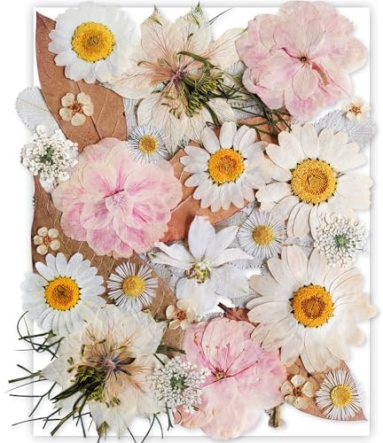 YoothBro Fiori Pressati Bianchi Secchi per Stampi in Resina, Veri Fiori Pressati Naturali Per Fai Da Te, Produzione Di Candele, Decorazione Unghie, Produzione Di Sapone, Custodie per telefoni