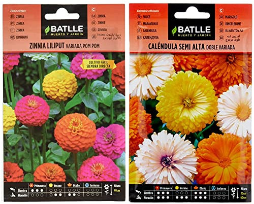 Zinnia LILIPUT variada (Pom Pom) & Caléndula semi alta doble variada