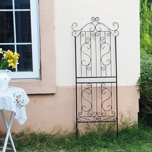 Scender – Treillis de jardin pour plantes grimpantes d'extérieur, treillis de rose grimpant, treillis en fer, lierre, concombre, treillis décoratif en métal, noir, 150 x 56 cm