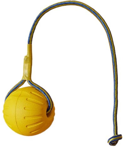 Kalastussaari Boule de Chien sur Une Corde Jouet, Mousse Flottante Boule de Chien avec Corde, Couleur Jaune de 3 Pouces