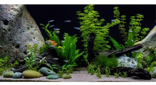 MIRRORANG 120x50cm Vinyl Unterwasser Wasserpflanze Aquarium Hintergrund Stein Fluss Bett & See Aquarium Hintergrund