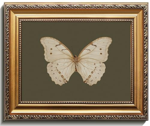 Uniro Vintage Gold Framed Wall Art, Classical Butterfly Oil Paintings, Dark Moody Insect Canvas Prints Artwork with Antique Frame, Sage Green Wall Decor Pictures for Bedroom, Kitchen, Shelf, Bathroom