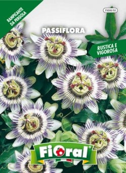 L'Ortolano Semences de fleur de qualité en sachet pour utilisation amateur