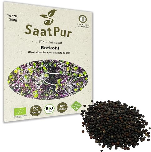 250 g BIO Keimsprossen Rotkohl Keimsaat für die Sprossenanzucht Sprossen Microgreen Mikrogrün