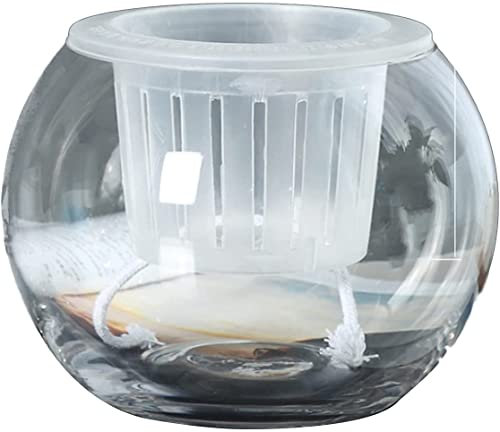 YJYKXP Hydrokultur-Vase, runde Kugel, Aquarium, Glasvase, Pflanzen, grüne Pflanzen, Haushaltsdekoration, Behälter, verschiedene Größen (Größe: 2014 cm, Farbe: B)