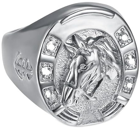 BOBIJOO Jewelry - Bague Fer à Cheval Chevalière Homme Voyageur Gitan Acier Inoxydable Argent Diamant Zirconium - 60 (9 US)
