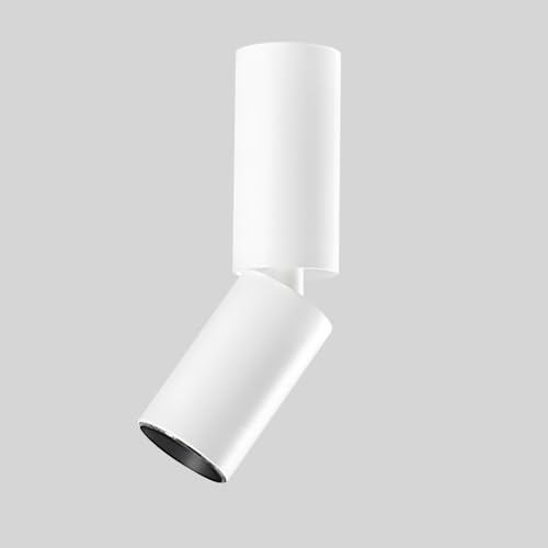 Foco LED de Techo Ajustable de 1,57, Foco cilíndrico, focos de luz, rotación de 360°, direccional, para iluminación de galerías, exhibiciones de Obras de Arte (Blanco, 2700 K, 3 W)