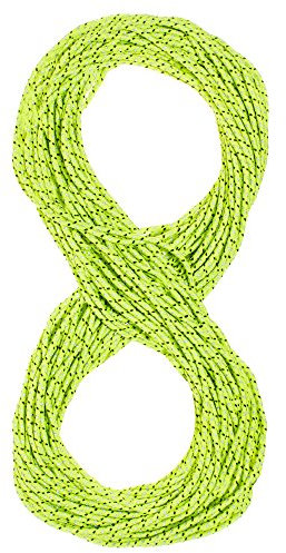 West Coast Paracord Reflektierendes Zelt-Seil aus Nylon für Camping, Zelt, 15 m (fluoreszierendes Grün)