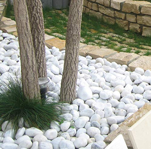 DIELLESHOPPING Galets de marbre ultra blancs, 20 kg, pierres de jardin, différentes tailles (15/25)