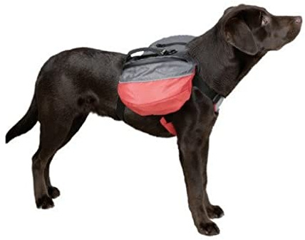 Kerbl 80651 Rucksack für Hunde
