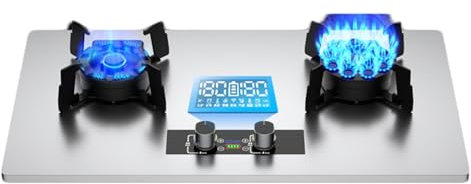 Cuisinière à gaz Cuisinière à gaz intégrée en acier inoxydable de 75 cm Cuisinière à gaz à 2 brûleurs, minuterie double face de 180 minutes (double face indépendante), dispositif de protection contre