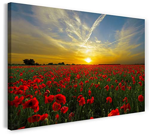 Printed Paintings Leinwand (100x70cm): Blumenbilder Mohnblume Mohnblumen-Feld bei Sonnenuntergang