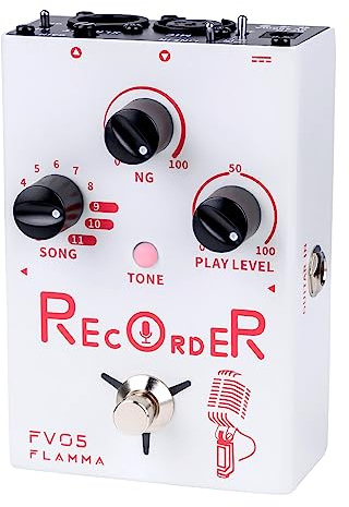 FLAMMA FV05 Recorder Vocal Effects Processor with 70 Minutes Recording Capacity Noise Gate & Reverb Effects for Vocal Guitar Reverb Looper Stompbox for Singer Songwriting Record Creative Inspiration