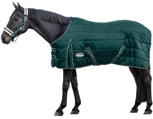 Marengos - Pferde Stalldecke 420D Comfort | atmungsaktiv & mit Thermofüllung | leichte Decke für Pferde mit Kreuzgurten | Größe 145 cm & in Tannengrün | Pferdedecke mit 200g Füllung