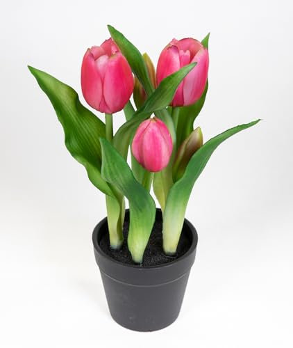 Seidenblumen Roß Tulpen Real Touch 24cm im Topf ZF Kunstpflanzen künstliche Pflanzen Tulpentopf (Rosa-Pink)