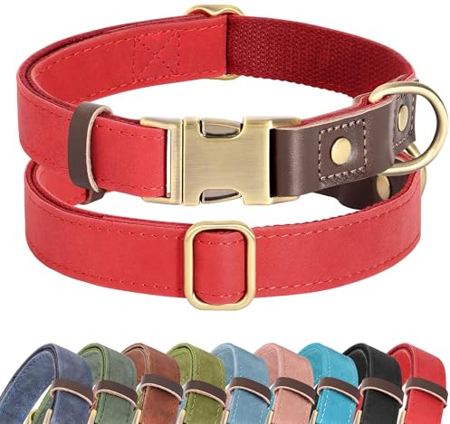 Didog Weich gepolstertes Lederhalsband für mittelgroße Hunde, klassisches Hundehalsband mit Metall-Schnellverschluss, verstellbar, mittelgroß, Kunstleder, Rot, M
