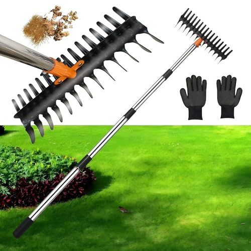 Thatch Rake, Thatching Rake for Lawns