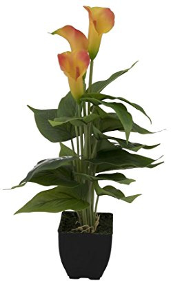 Künstliche dekorative Calla Zantedeschia 43cm hoch mit gelb orangen Blüten im bemoosten Topf