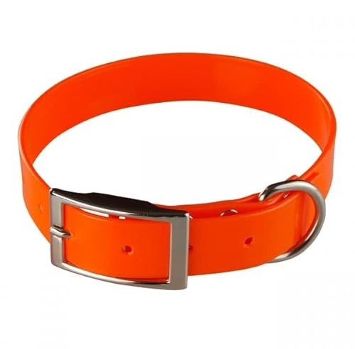 Collier pour Chien Biothane Gold - 2,5cm de Largeur - Longueur au Choix - Ultra résistant (55cm, Orange 315)