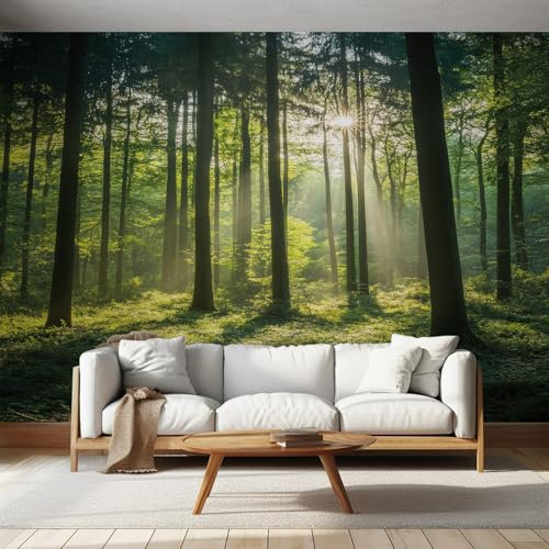 Générique Papier Peint Panoramique Forêt Papier Peint Intissé Fresque Murale Paysage Naturel Soleil, Decoration Murale pour Chambre Salon, 400 x 280 cm &WP