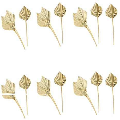 Mucshim 20 piezas de jabalinas de palma secas de palma secas naturales abanicos de palma secas hojas de palma secas hojas de palma abanico de hojas con tallo
