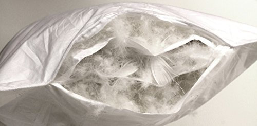 Betten Hofmann 2 x Luxus 3-Kammer-Kopfkissen 80x80 Daunenkissen Kopfkissen mit weicher Daunenhülle, Doppelpack