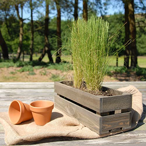 Pflanzkasten im Vintage-Stil, schmal, für den Garten, klein, Blumentopf, Pflanzkübel