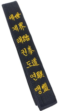 TANZEQI Bestickter Gürtel für Taekwondo Hapkido Kampfsport/Karate Gürtel Judo Kickboxen Ju-Jitsu Shotokan Junior, Schwarz, 125.98“/320cm