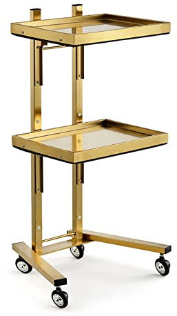 Chariot de rangement en acier inoxydable à 2 étages avec roulettes et plateau roulant en métal pour chambre à coucher, cuisine, atelier de tatouage, chariot utilitaire pour une organisation et une