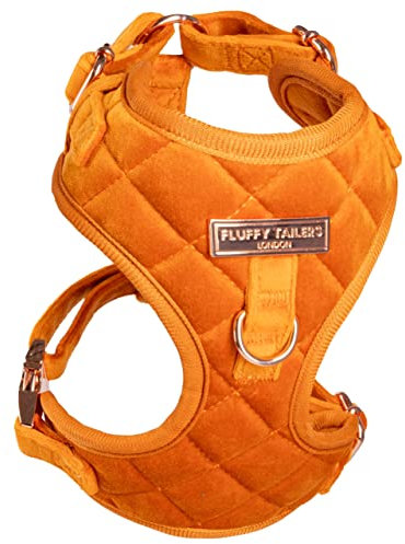 Fluffy Tailers Orange Velvet Adjustable Dog & Puppy Harness With Chest Strap for Small, Medium & Teacup Sized Dogs - Comfortable, Stylish & Safe (Small)