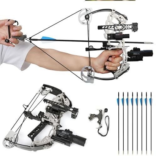 Archery Compound Bow and Arrows Set, 15-32 lbs Draw Weight Adjustable, Compact Compound Bow Kit Adult In-Car Hunting RH/LH for Outdoor Shooting (Type 2)
