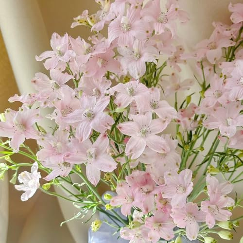 Semi di Delphinium, semi di campo del delfinio, da giardino, semi biologici giardino 100pcs