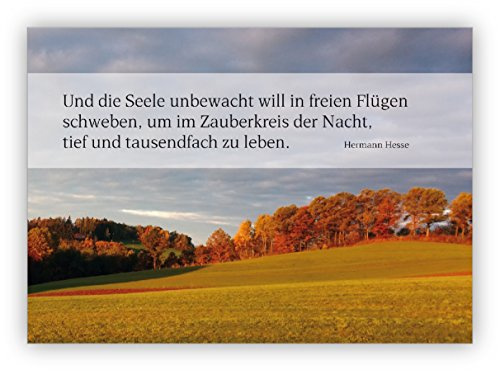 Kartenkaufrausch Trauerkarte Kondolenzkarte mit Abendlicher Landschaft und Hesse Zitat: Und die Seele unbewacht will in freien Flügen schweben. – einfühlsame Beistandskarte zum kondolieren