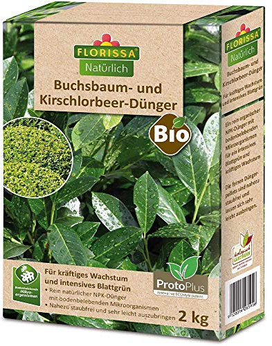 Florissa BIO Kirschlorbeerdünger 2Kg Buchsbaum und immergrüne Pflanzen mit ProtoPlus für ein intensives Grün | haustierfreundlich