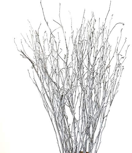 DongArts Rami decorativi di betulla, steli di brich per decorazioni nuziali, ramoscelli secchi per decorazioni natalizie (argento metallizzato)