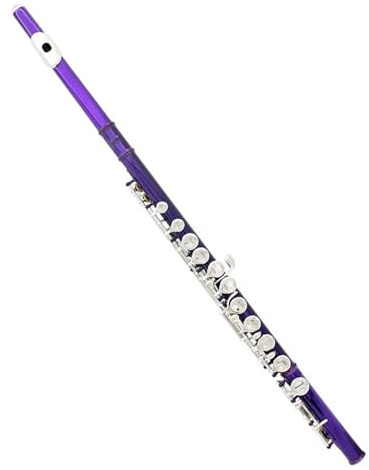 Flöte Für Anfänger 16 Löcher C-Ton-Flöte Mit E-Taste Professionelles Holzblasinstrument Geschlossene Taste Cupronickel-Röhrenflöte Anfänger-Set