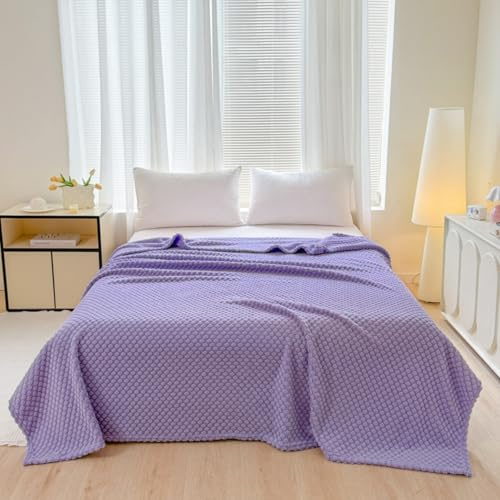 Highdi Coperta Divano Estiva, Coperta Letto Singolo Matrimoniale Invernale Copertina Letto Una Piazza e Mezza Soffice e Calda per Mare, Campeggio (DD Viola,100 * 150cm)