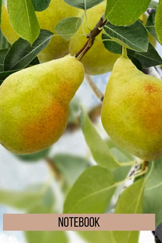 Pear Tree Notebook: blank lined composition journal | Pear Tree notebook | 100 pages