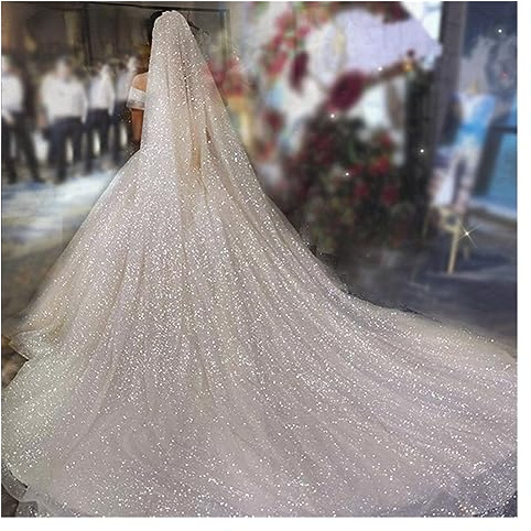 Sparkle Cathedral Wedding Veils Long 3 Meters Shiny Sparkling Bridal Veil With Comb Bride Accessories Wedding (Color : Champagne, Size : 500cm)