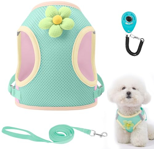 Dog Harness with Leash Set, Breathable Adjustable Dog & Cat Harness with Reflective Strips, Step-in Dog Harnesses with Safety Buckle, Soft Cat Vest for Outdoor Walking, Training