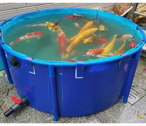Aufstellpool – runder Fischteich aus Segeltuch mit flexibler PVC-Auskleidung, großes Aquarium-Auffangbecken für Koi/Goldfische, langlebiges Wasserspiel für den Außenbereich (Blau, 1,8 x 0,8 m)