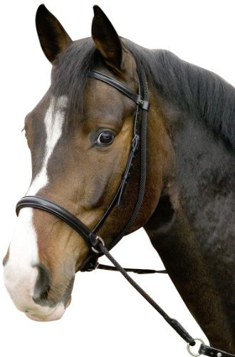 Gebisslose Trense ''Connection''