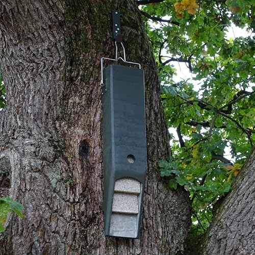 HASSELFELDT Fledermaus-Universal-Langhöhle aus Holzbeton, spaltenlastige Ausführung | Fledermausquartier | Fledermauswochenstube | Großraumhöhle | Sommerquartier| Fledermauskasten| Fledermaus-Haus