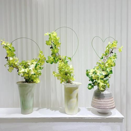 Semillas de plantas de hiedra. sala de estar decorativa moderna, jardín de plantas Planta colgante real interior, jardín decorativo. planta colgante, plantas en macetas resistentes 300pcs