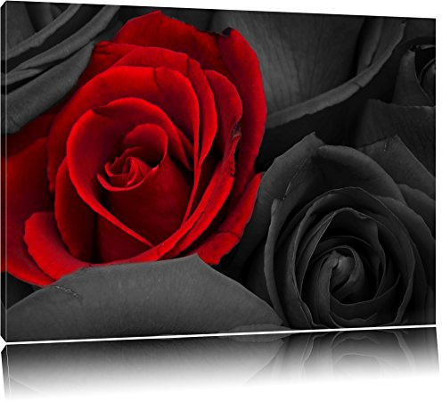 Pixxprint romantische rote Rosen B&W, Größe: 100x70cm, Leinwandbild, fertig gespannt, Wandbild, Dekoration, Kunstdruck, kein Poster